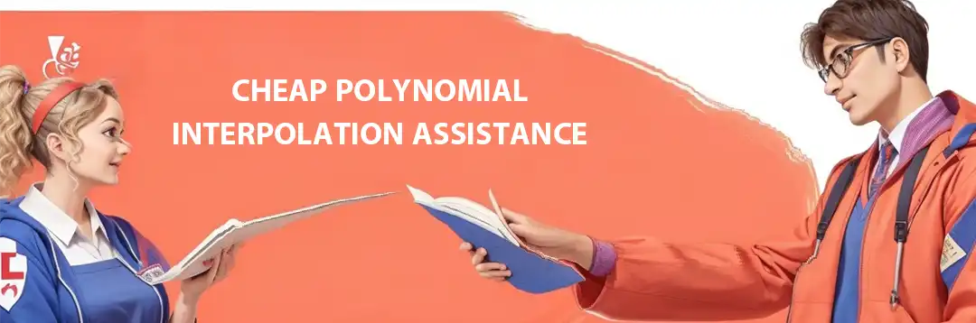 Affordable Help with Polynomial Interpolation Assignment